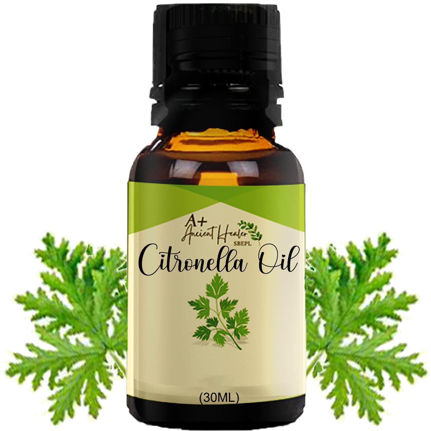 CITRONELLA OIL