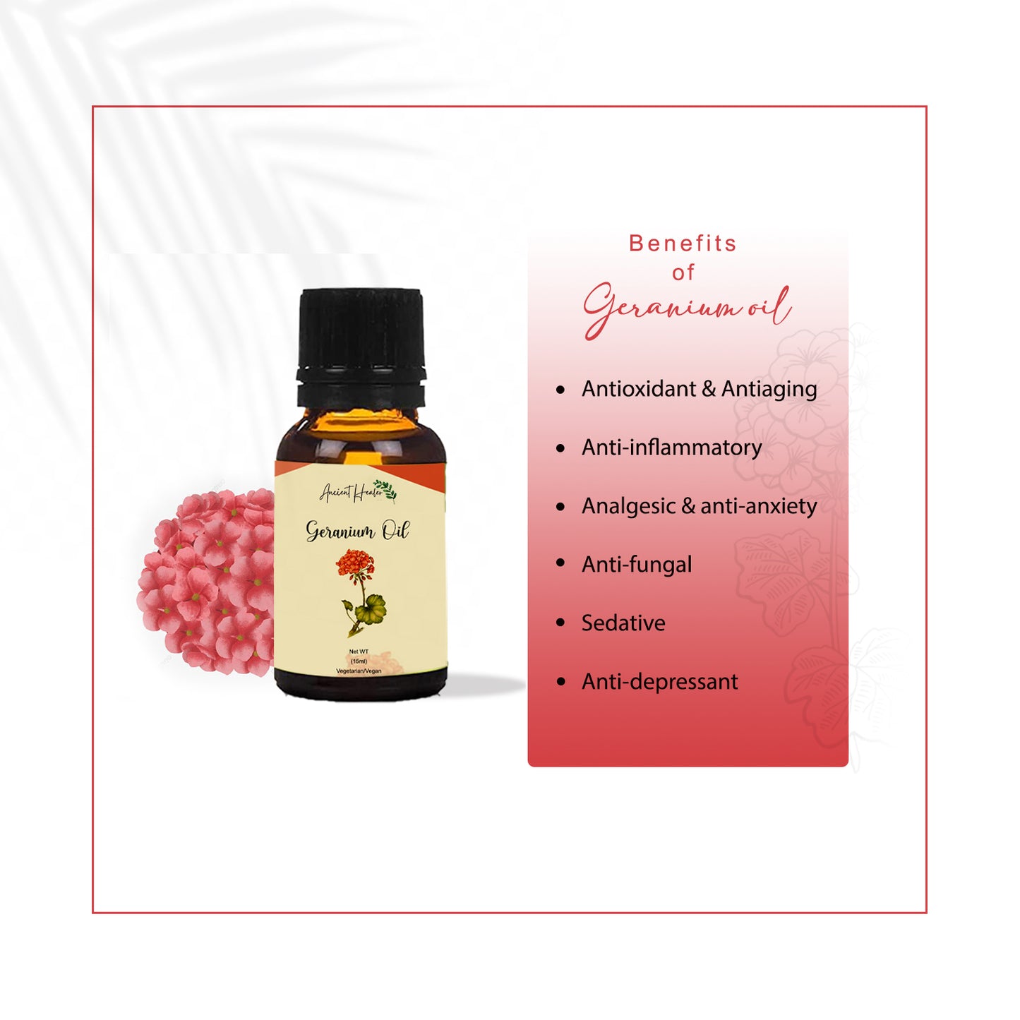 Geranium Oils