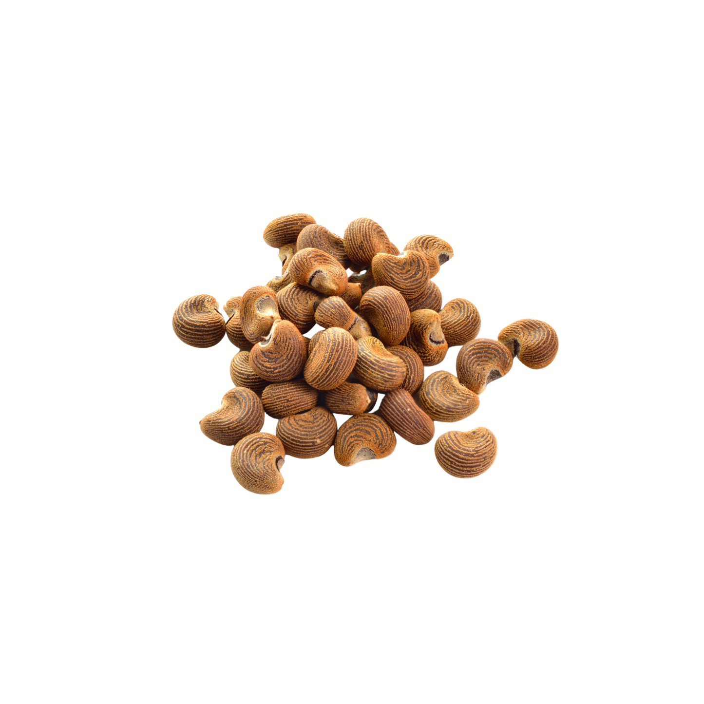 Ambrette Seed Hydrosol