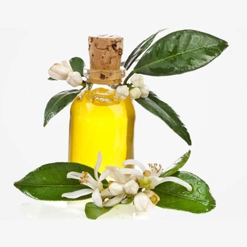 Amyris Essential Oil