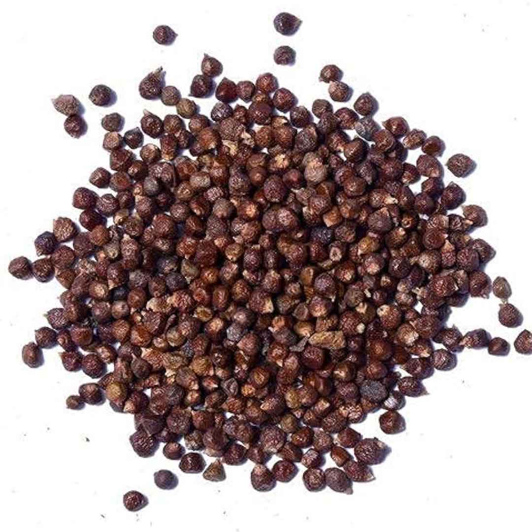 TOMAR SEED OIL