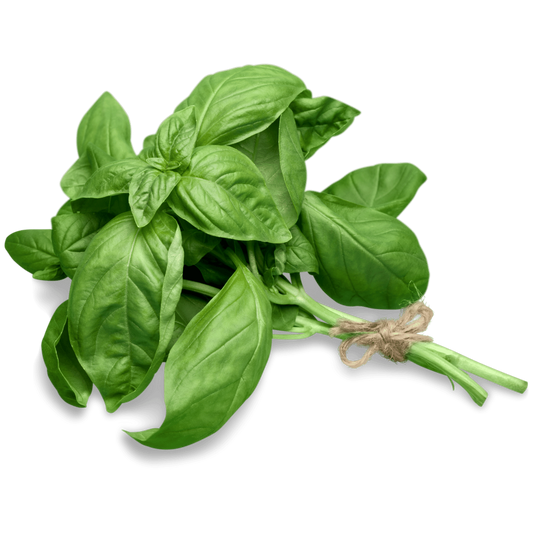 BASIL 20% OR