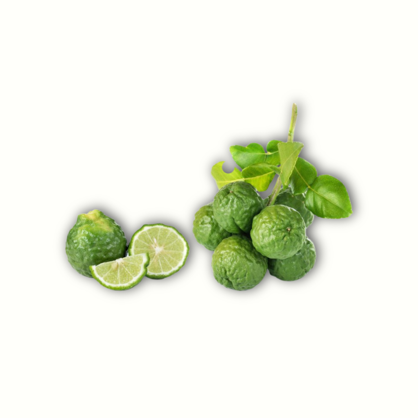 π Bergamot SCFE (COβ) Essential Oil