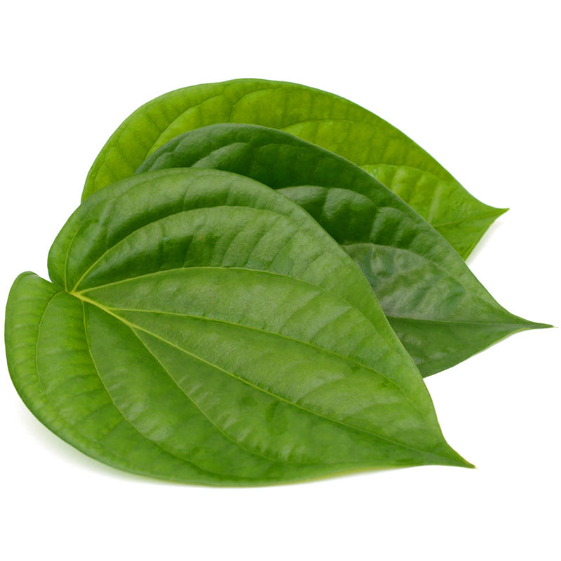 BETEL LEAF OIL (SWEET)