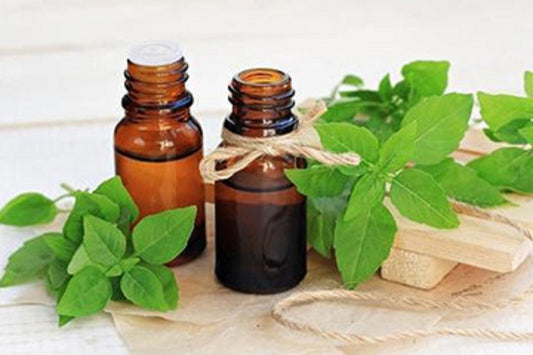 Basil Standard Oleoresin