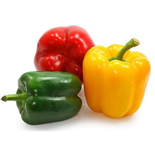 CAPSICUM 14% O/S OR