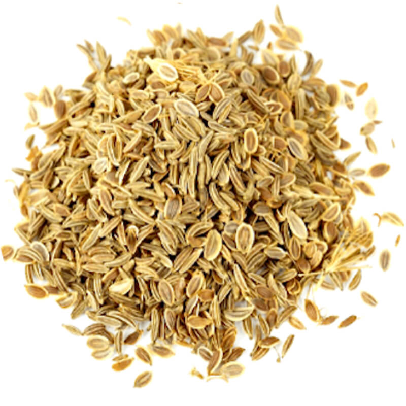 CARROT SEED OIL
