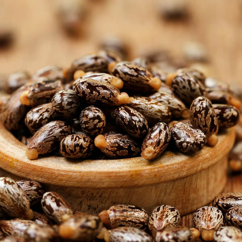 CASTOR OIL