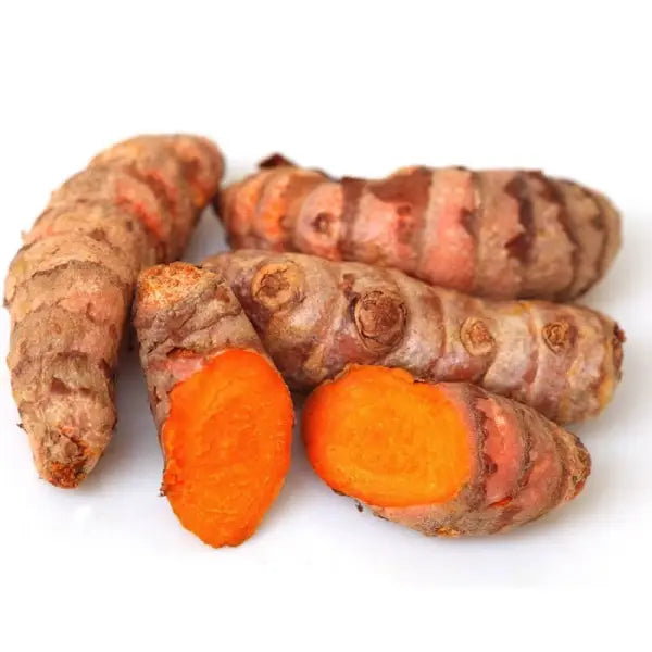 🌿 Turmeric CO₂ Oil