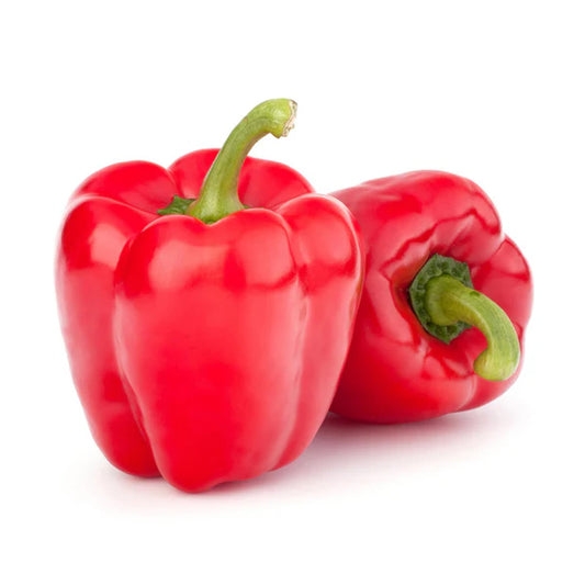 Capsicum 10% o/s OR