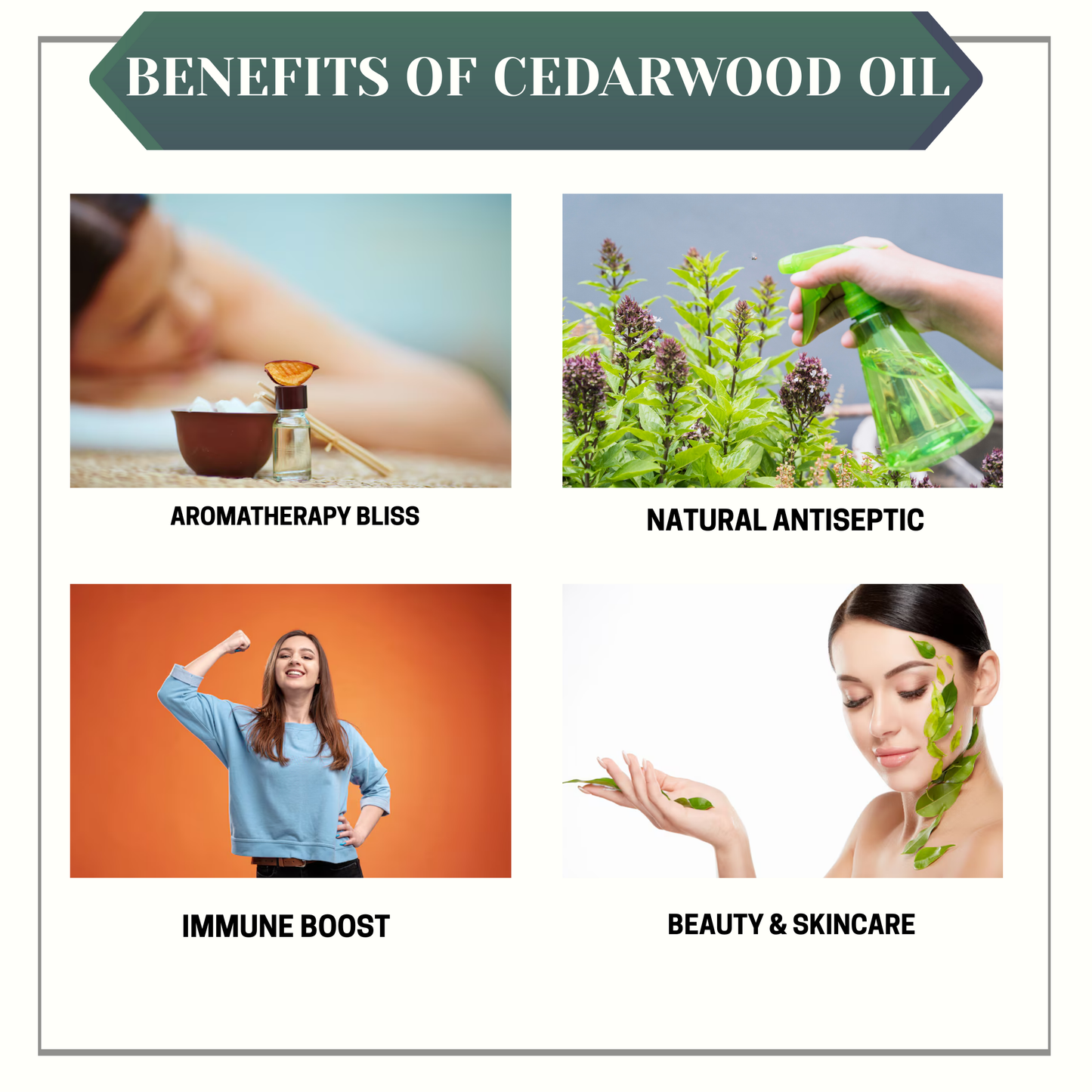 ๐ฟ Cinnamon COโ Essential Oil