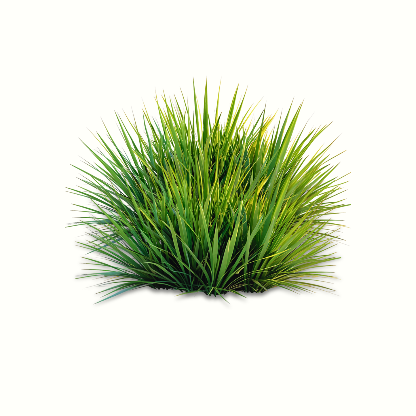 CITRONELLA OIL