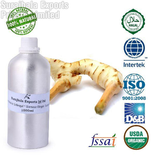 GALANGAL ~ SIAMESE GINGER