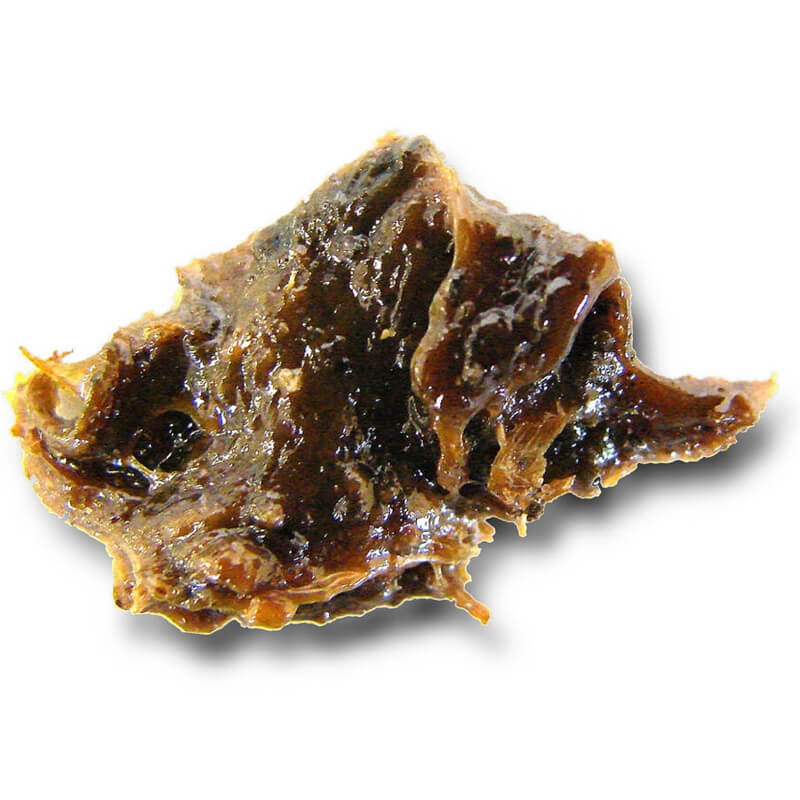 GALBANUM OIL
