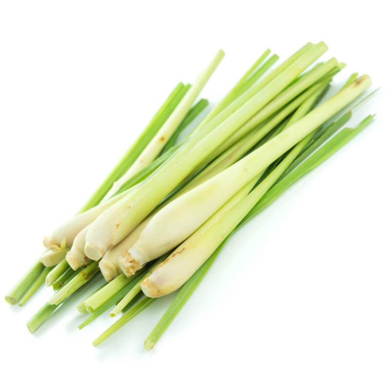 GINGERGRASS OIL