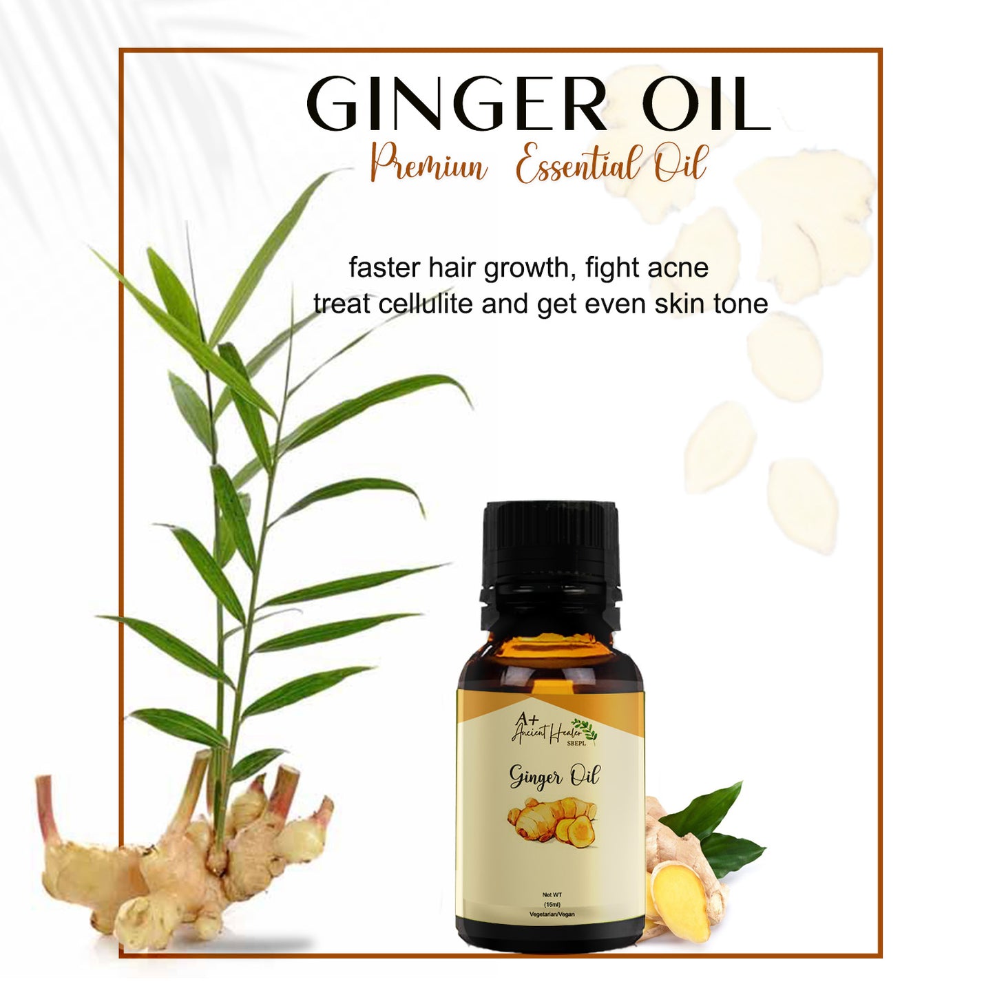 π« Ginger SCFE (COβ) Essential Oil