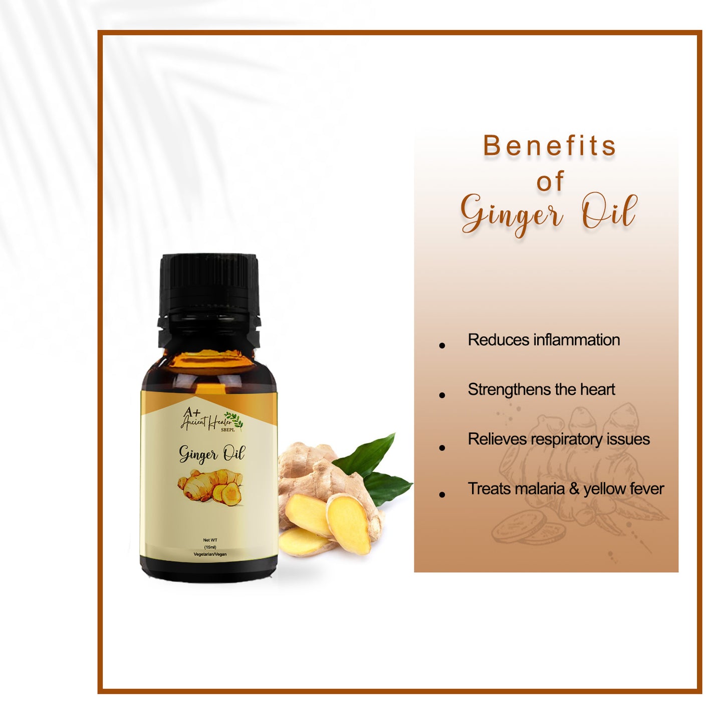 π« Ginger SCFE (COβ) Essential Oil