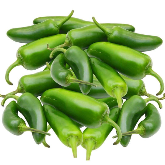 JALAPENO OLEORESIN O/S STANDARD