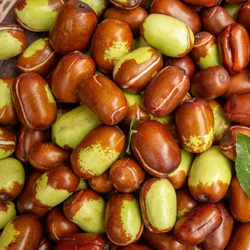 GOLDEN JOJOBA OIL