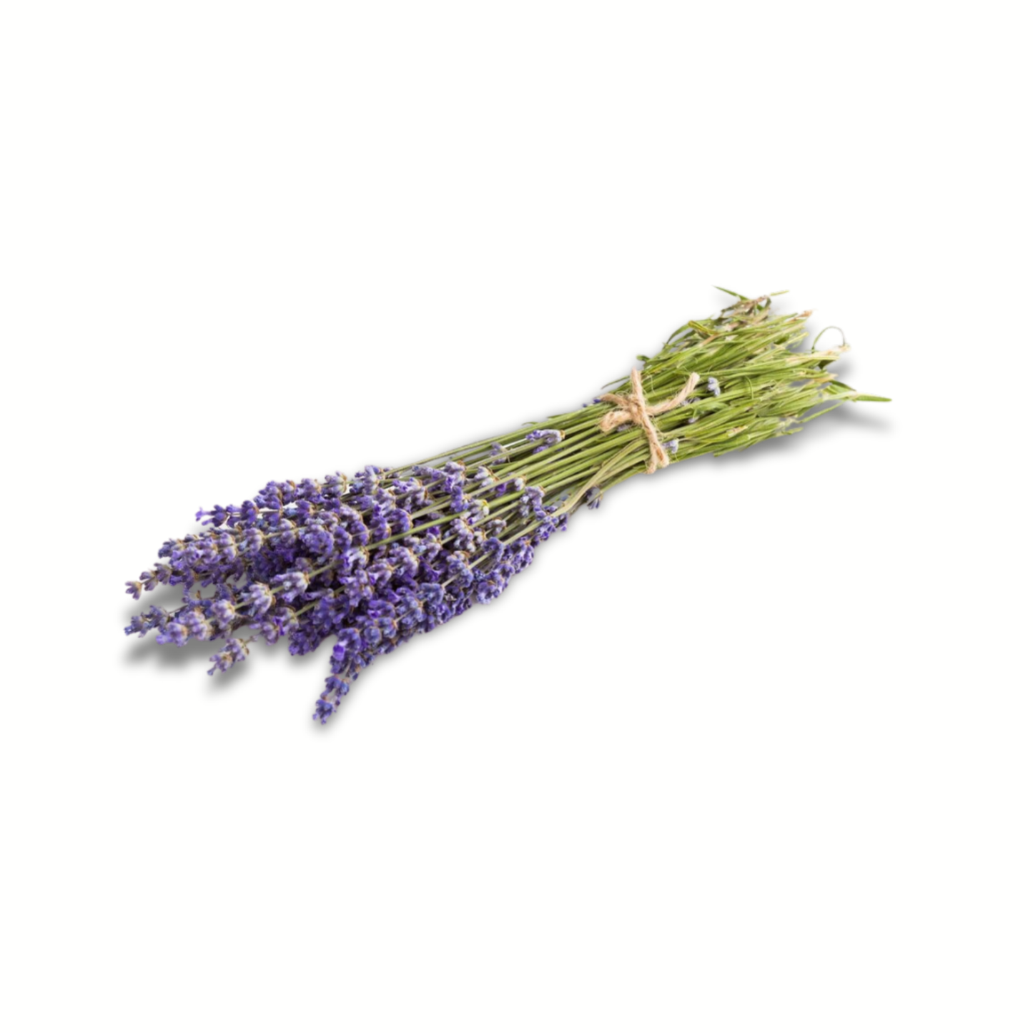 LAVENDER HYDROSOL