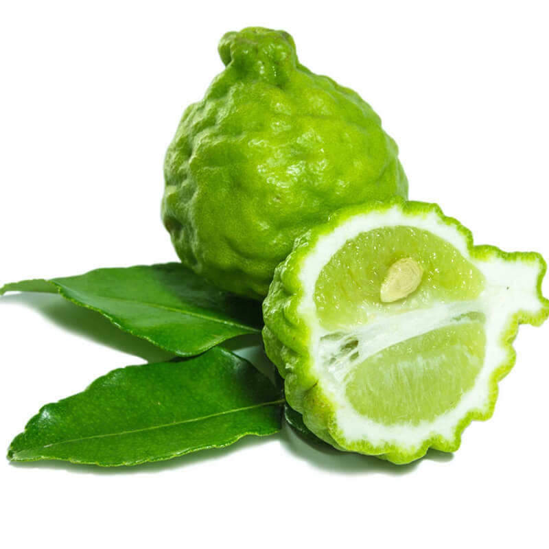 LIME OIL
