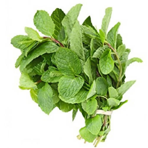 MINT OLEORESIN 15% O/S