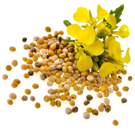 MUSTARD OIL (KACHI GHANI)