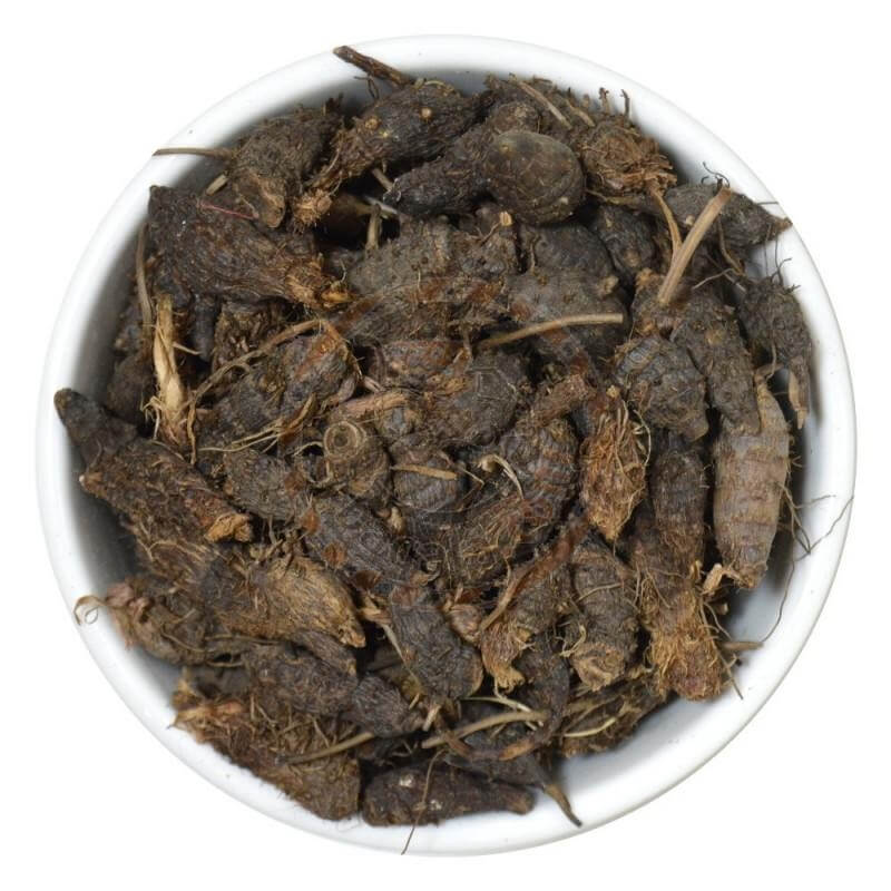 NAGARMOTHA