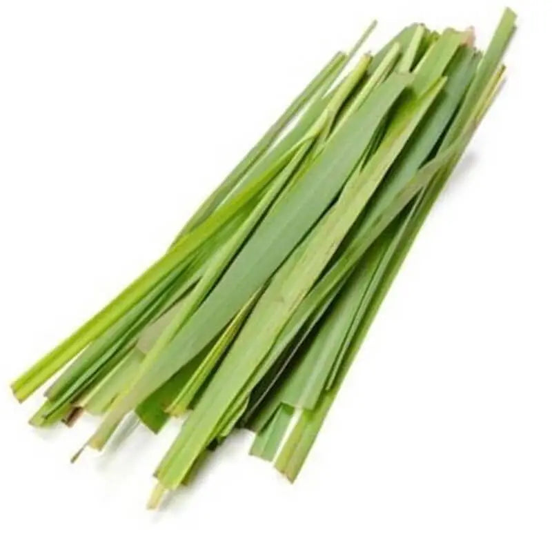 PALMROSA ESSENTIAL OIL