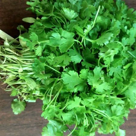PARSLEY LEAF OIL (INDIAN)