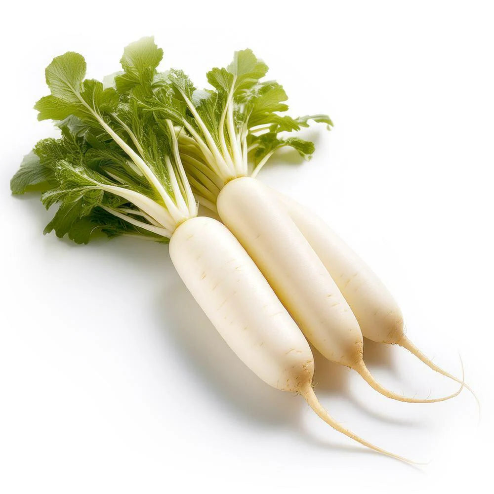 RADISH (MULI) OIL