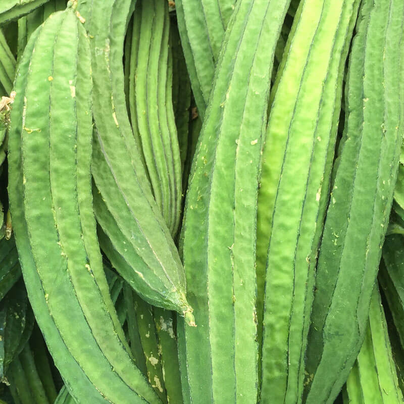 RIDGE GOURD OIL (TOROI)