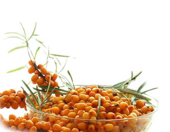 ANCIENT FLAVOURS | Pure Sea Buckthorn Juice in a convenient 500ml bottle. Rich in natural vitamins, minerals, and antioxidants, this golden juice supports immunity and overall wellness.