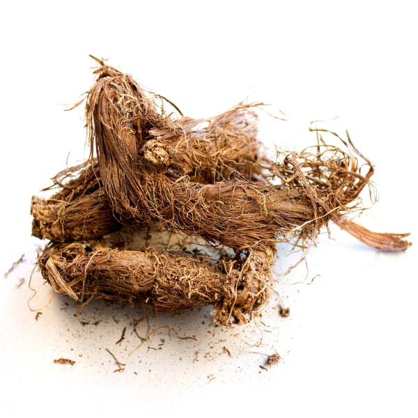 SPIKENARD OIL