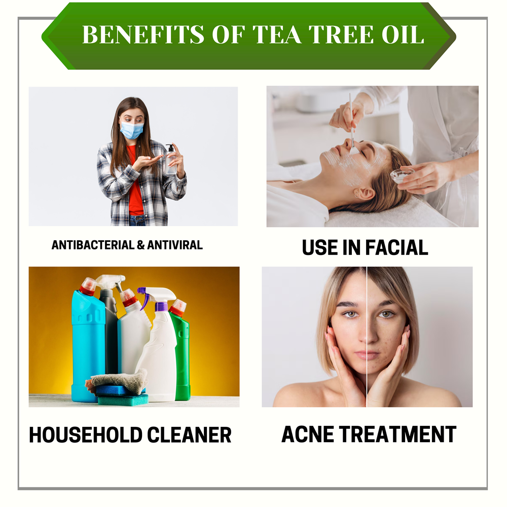 TEA TREE Oil