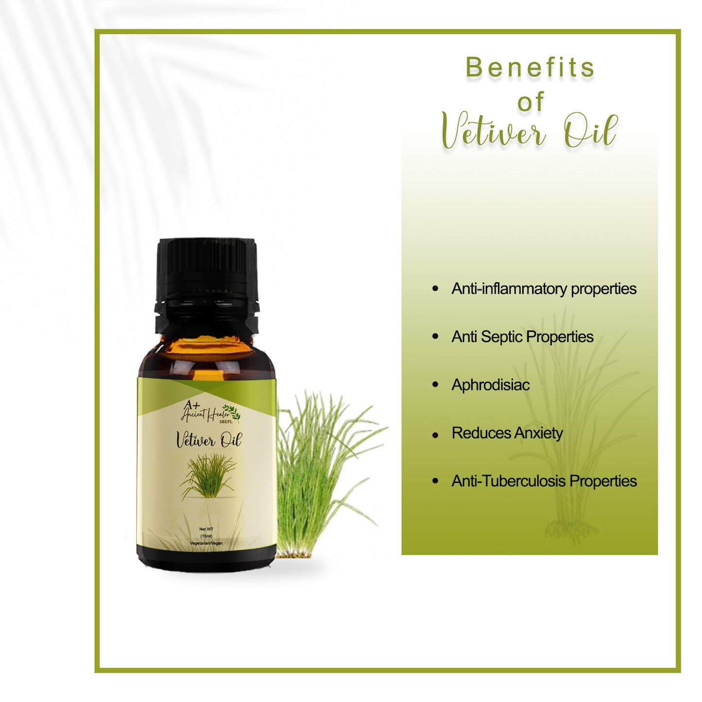 Vetiver CO₂ Oil 🌿