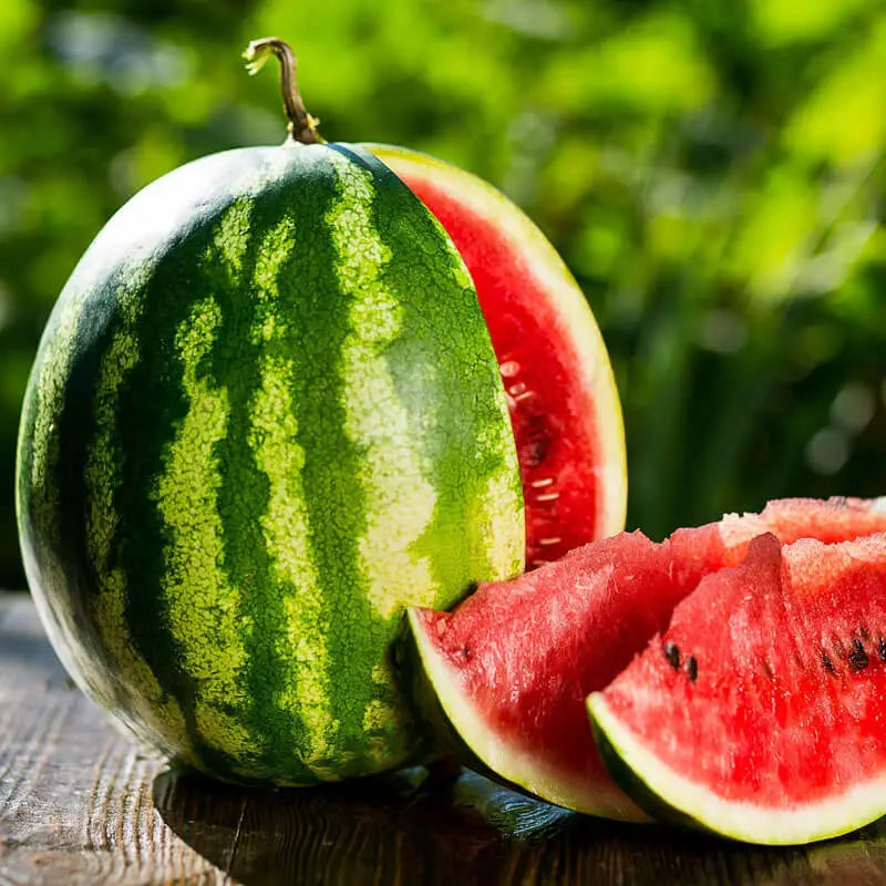 Water Melon Oil