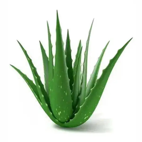 ALOE VERA GEL