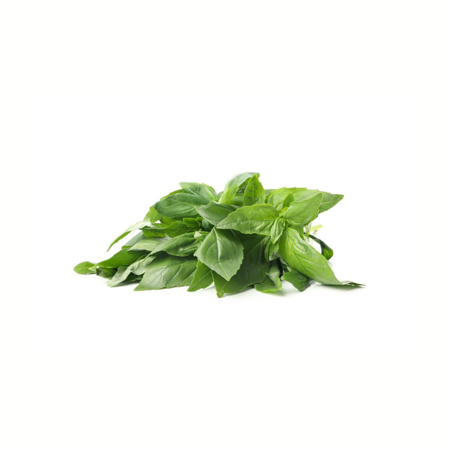 Basil Hydrosol