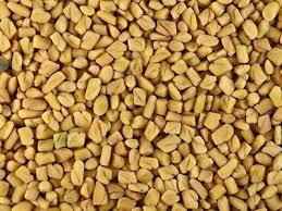 FENUGREEK OLEORESIN 20% O/S