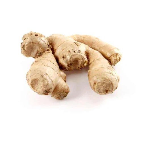 Ginger 30% volatile oil Voc O/S