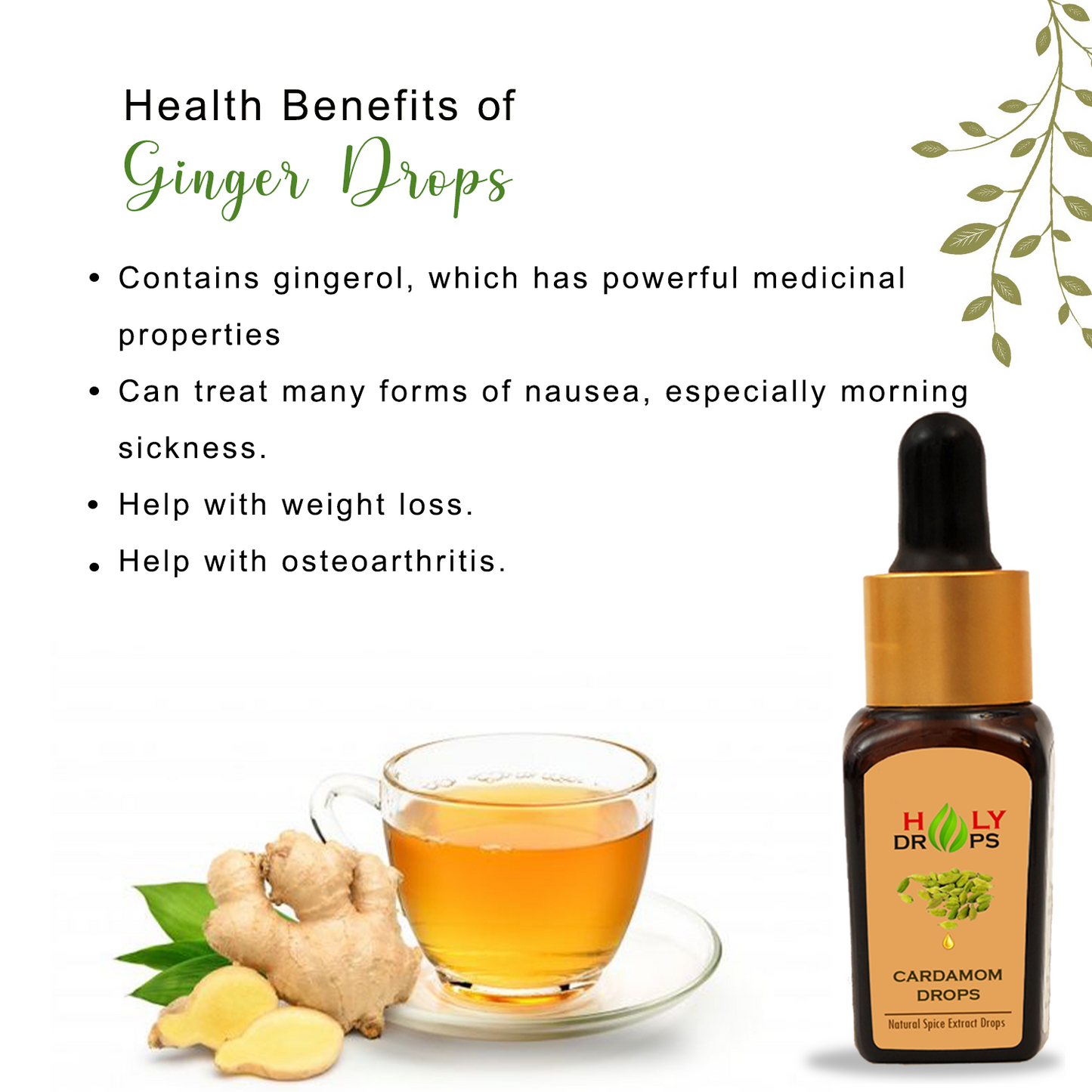 Ginger Oil Drops