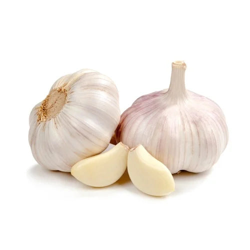 GARLIC OLEORESIN 10% W/S