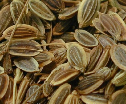 DILL SEED OLEORESIN 10%