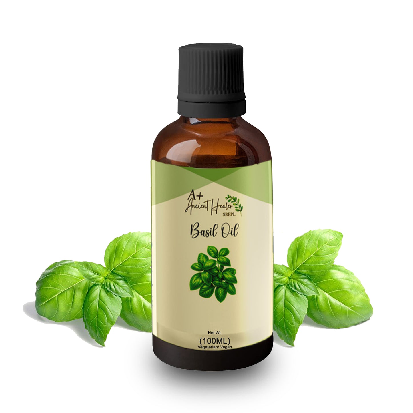 Basil Essential Oil – Pure & Steam Distilled
