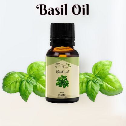 Basil Essential Oil – Pure & Steam Distilled
