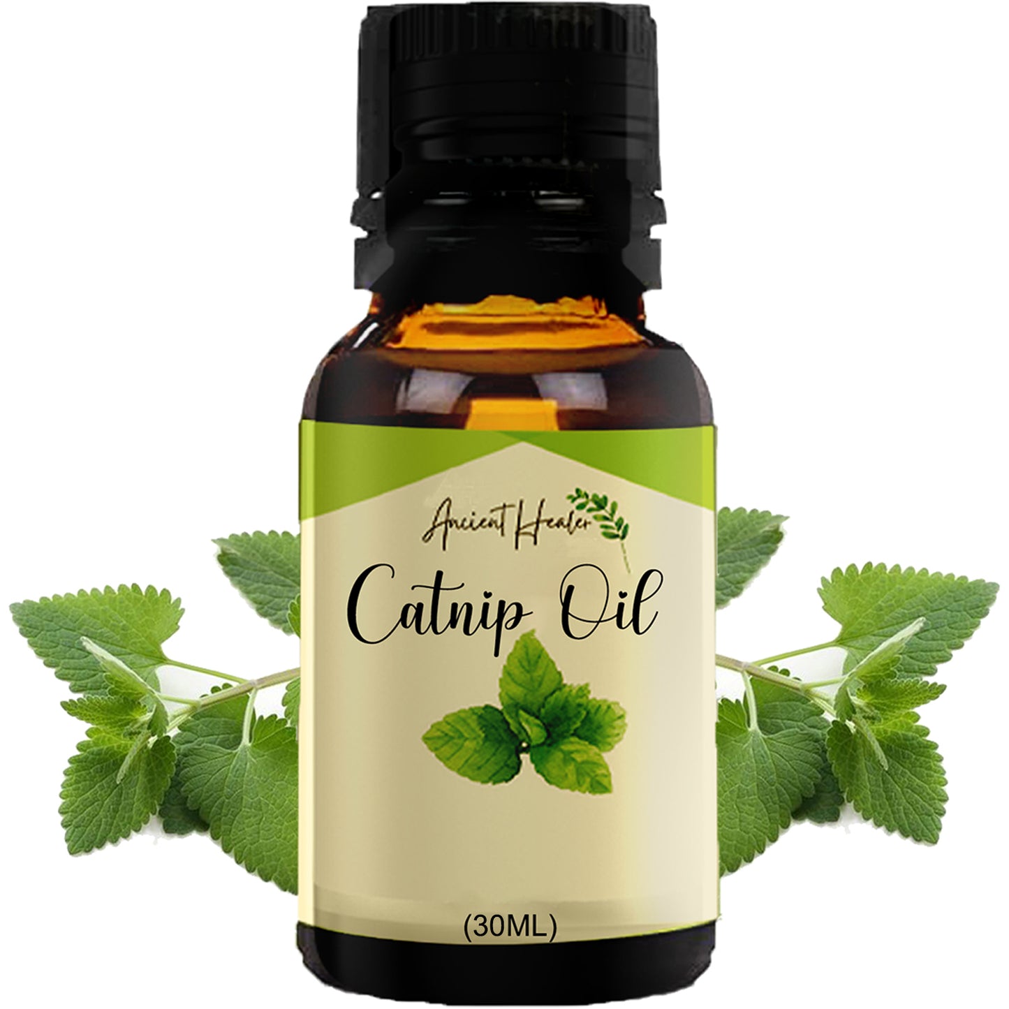 Catnip Oil C
