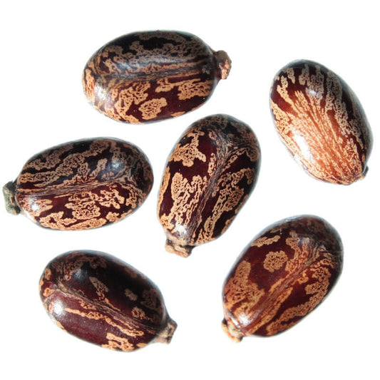 CASTOR OIL
