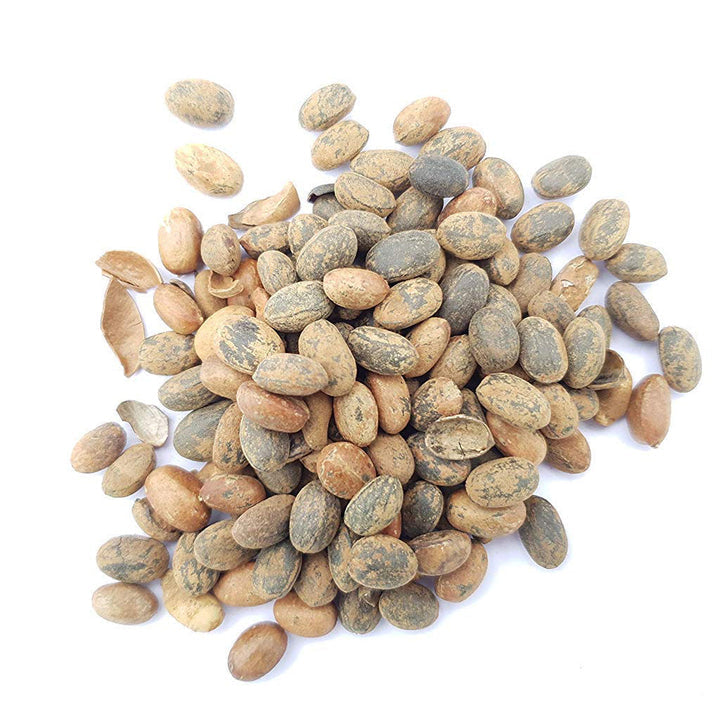 CROTON OIL