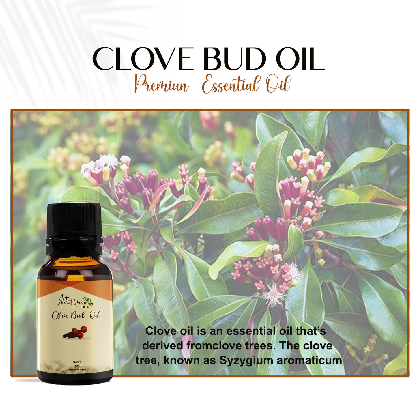 CLOVE ESSENTIAL OIL